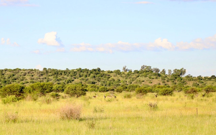 0 Bedroom Property for Sale in Heilbron Free State